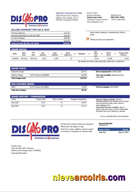 Ecuador Disgaspro gas business utility bill